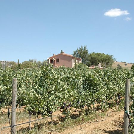 Agriturismo Pian Dei Pini Montiano  Bagian luar foto