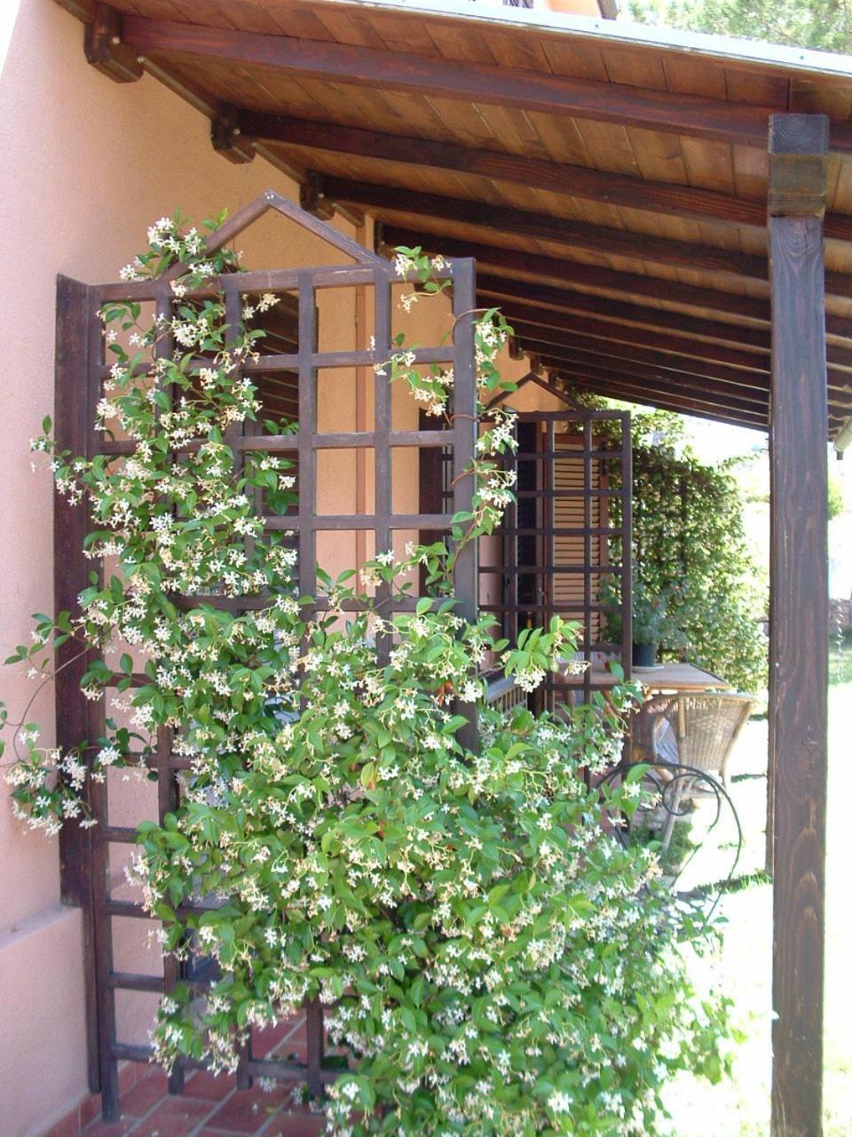 Agriturismo Pian Dei Pini Montiano  Bagian luar foto