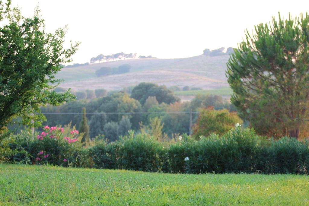 Agriturismo Pian Dei Pini Montiano  Bagian luar foto