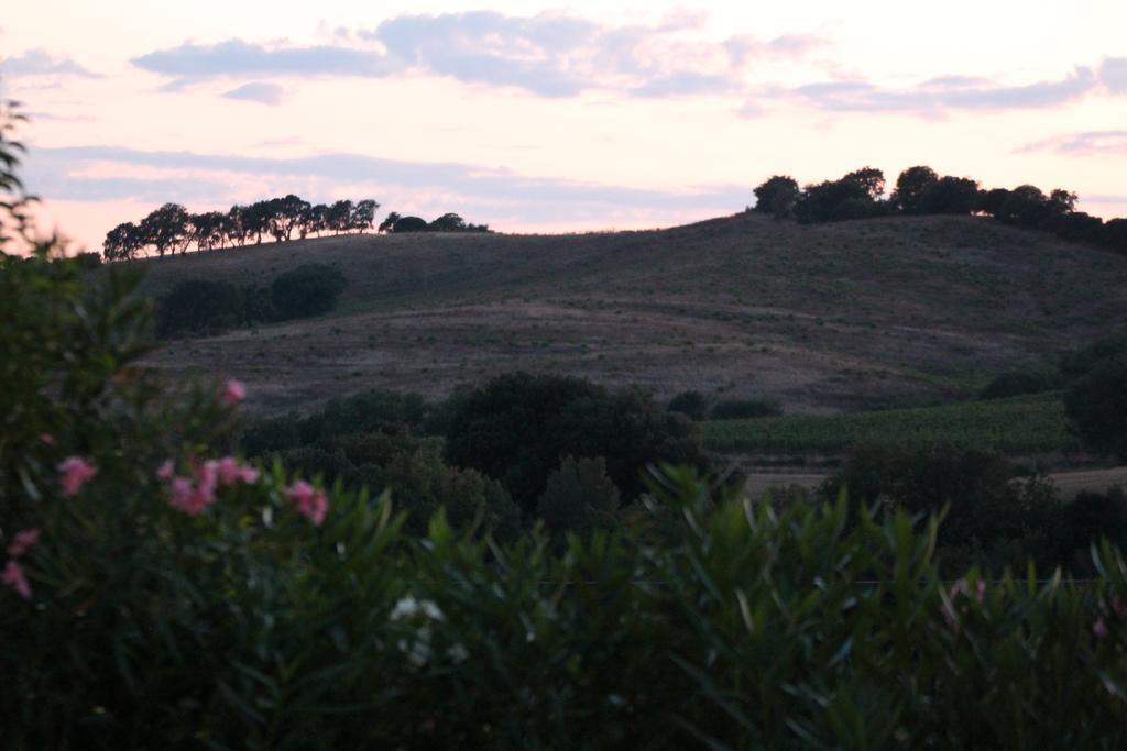 Agriturismo Pian Dei Pini Montiano  Bagian luar foto
