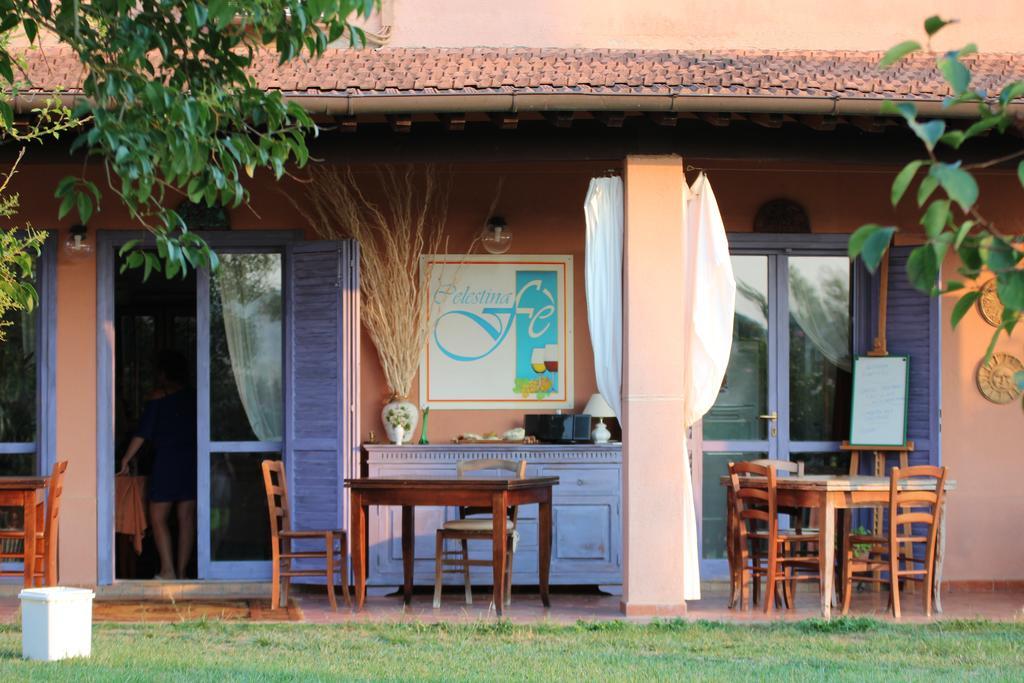Agriturismo Pian Dei Pini Montiano  Bagian luar foto